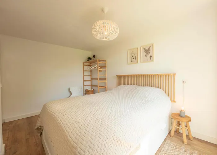 Vlier 9 - Klepperstee Ouddorp